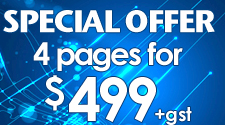 Special Offer $499 web site